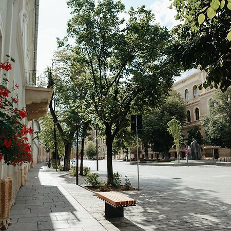 Contessa Apartment Cluj Napoca المظهر الخارجي الصورة