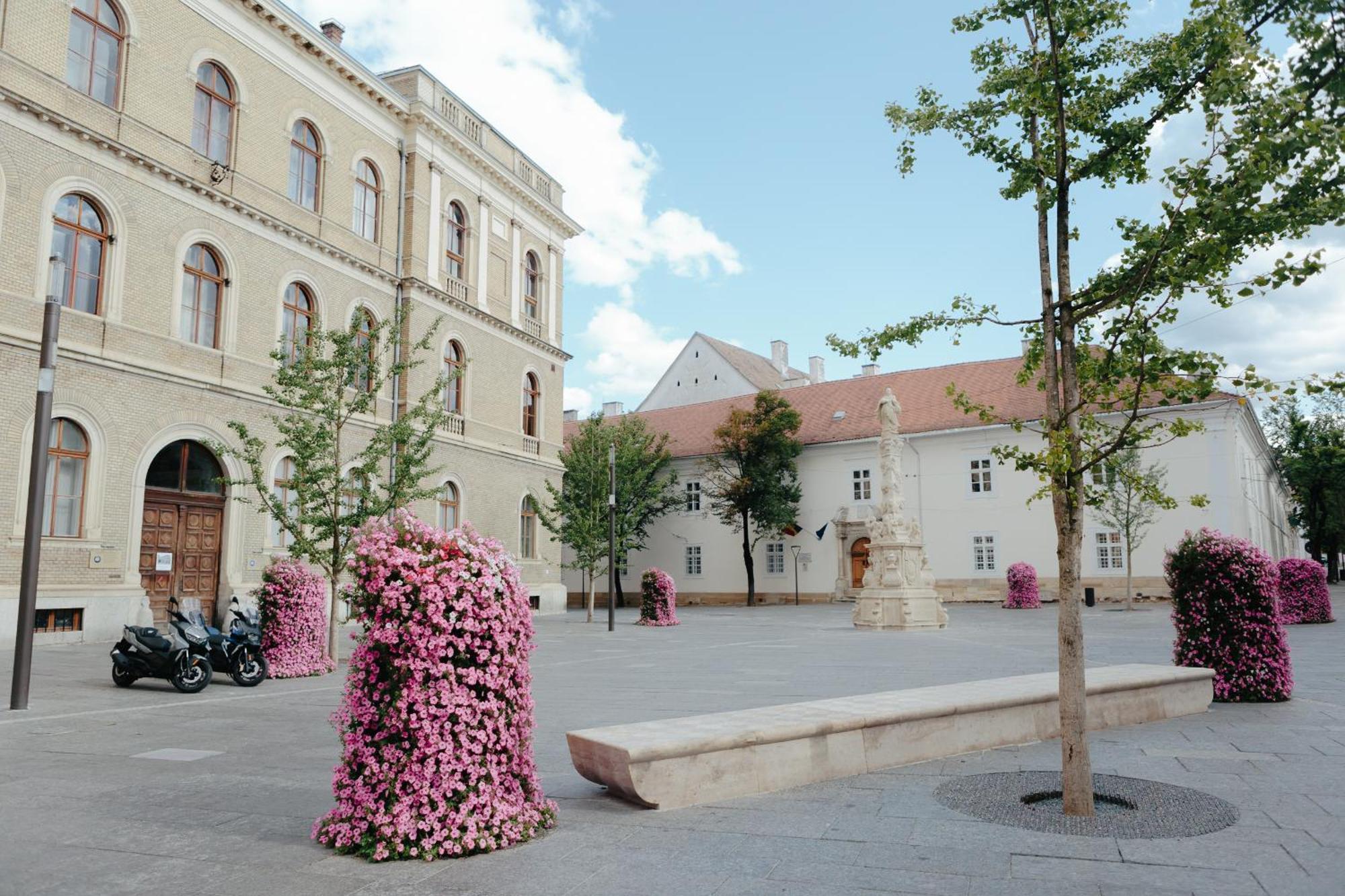Contessa Apartment Cluj Napoca المظهر الخارجي الصورة