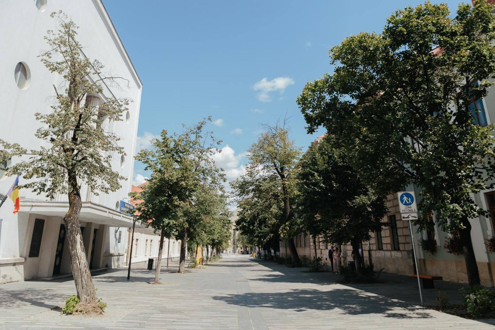 Contessa Apartment Cluj Napoca المظهر الخارجي الصورة