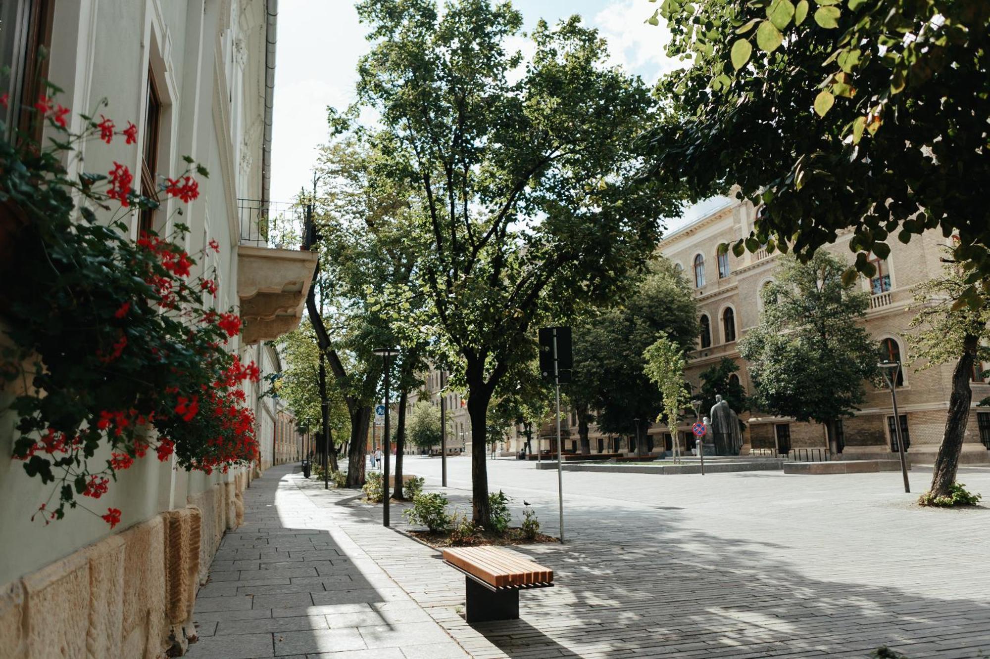 Contessa Apartment Cluj Napoca المظهر الخارجي الصورة