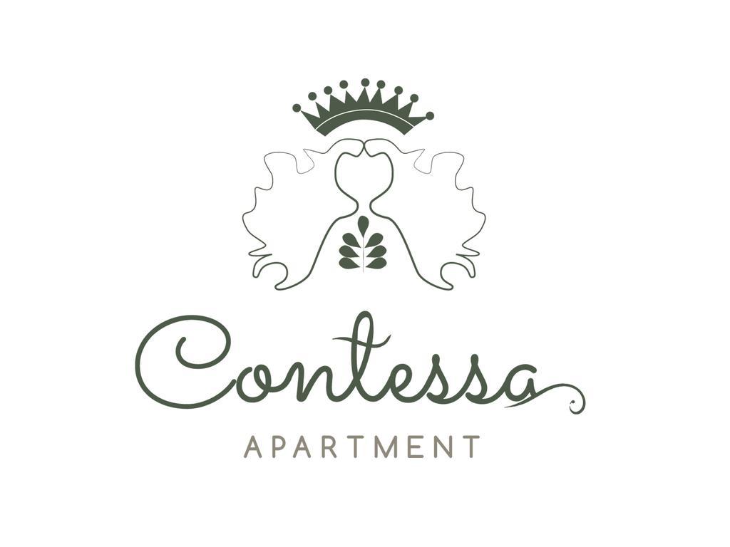 Contessa Apartment Cluj Napoca المظهر الخارجي الصورة