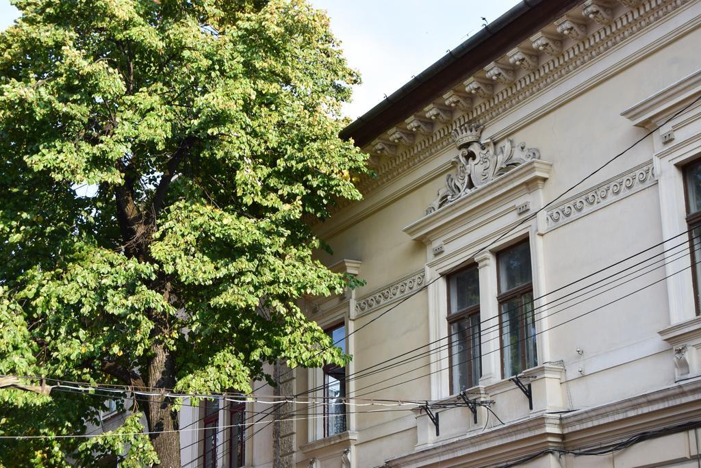 Contessa Apartment Cluj Napoca المظهر الخارجي الصورة