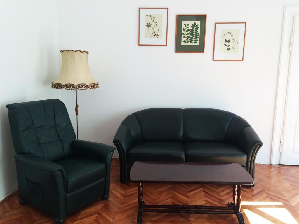 Contessa Apartment Cluj Napoca المظهر الخارجي الصورة